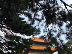 -北陵公园