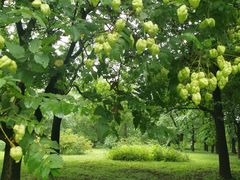 -国家植物园南园