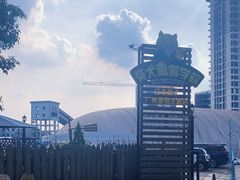 -柴犬高等学院·狗咖·柴犬售卖·宠物训练