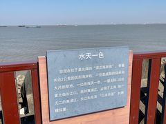 -上海滨江森林公园