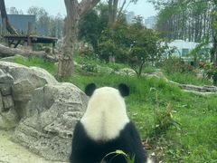 -武汉动物园