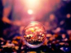-拿渡麻辣香锅(管庄店)