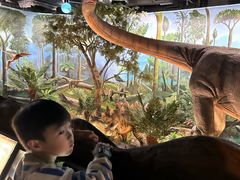 -陕西自然博物馆