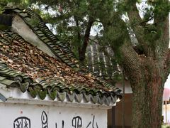 -丝绸小镇荻港古村