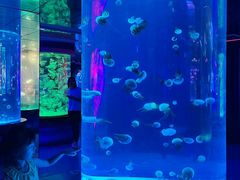 -左海海底世界