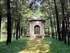 -国家植物园南园