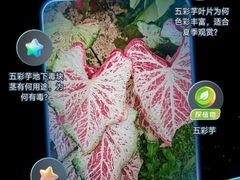 -CGV影城(滨江天街IMAX店)