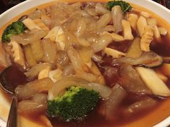 -成都保利公园皇冠假日酒店(熊猫基地店)