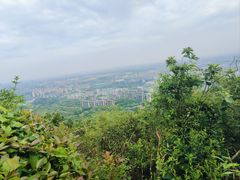 -杭州半山国家森林公园