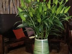 -心足私家足疗SPA(海岸城店)