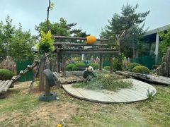 -大连森林动物园