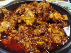 -志晖园圆子鸡·辣子鸡(阳光店)