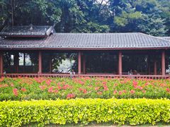 -南宁南湖公园