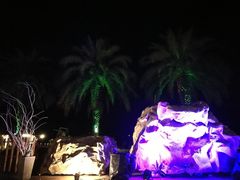 -清迈夜间动物园
