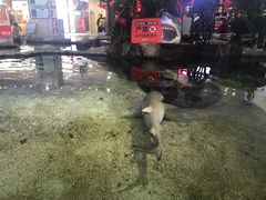 -鸿通城购物中心