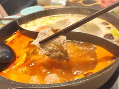 -诗爷牛尾汤(大坪英利店)