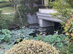 -雅达·阳羡溪山小镇中心