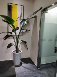 -贞禾医美·连锁