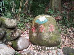 -三江森林温泉度假区