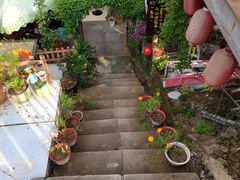 -鱼乐岛餐厅·户外花园主题餐厅