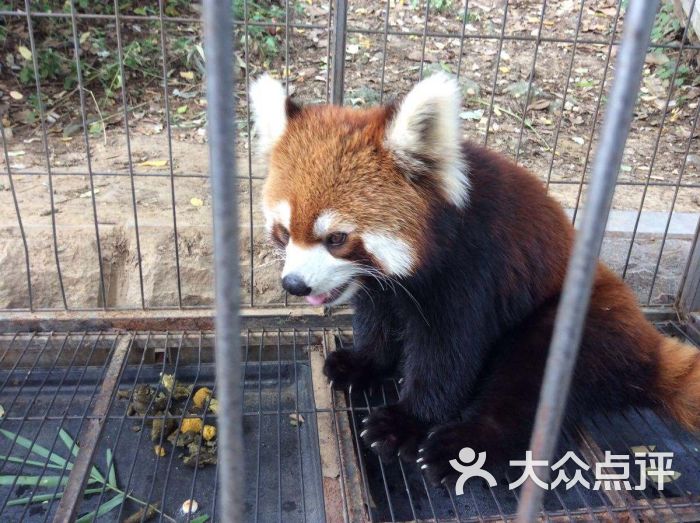 武汉动物园图片 第2张