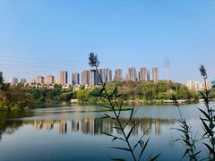 -重庆彩云湖湿地公园