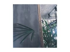 -太麻里文创咖啡馆(创意设计中心店)