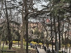 -观象山公园