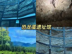 -中国西峡恐龙遗迹园