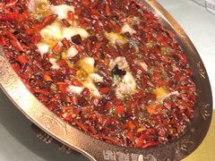 -雲蜀龙阁·金牌水煮鱼(方庄店)