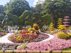 -上海共青森林公园