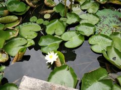 -长兴太湖图影湿地文化园