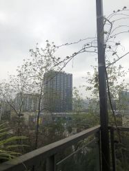 -金芙美月子中心(财富别墅店)