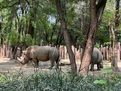 -北京野生动物园