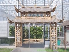 -上海都市菜园