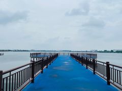 -鹅湖玫瑰文化园
