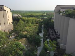 -上海崇明金茂凯悦酒店