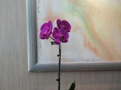 -好日子皇冠假日酒店·君怡咖啡厅(特美思大厦店)