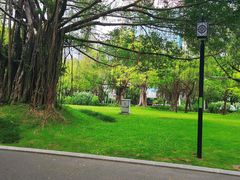 -南宁南湖公园