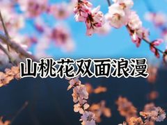 -海棠花溪(元大都城垣遗址公园)