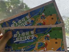 -荷兰花海