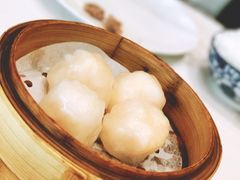 -頂好酒家·经典粤菜(海信广场店)