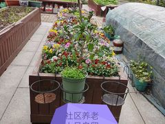 -梧桐人家中国太平国际健康颐养社区