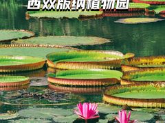 -中国科学院西双版纳热带植物园
