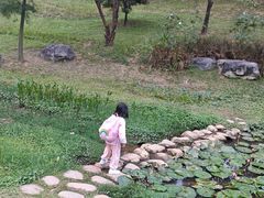 -东莞植物园