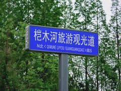 -桤木河湿地公园