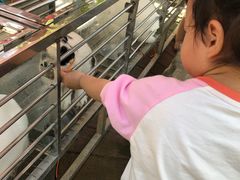 -贵州森林野生动物园