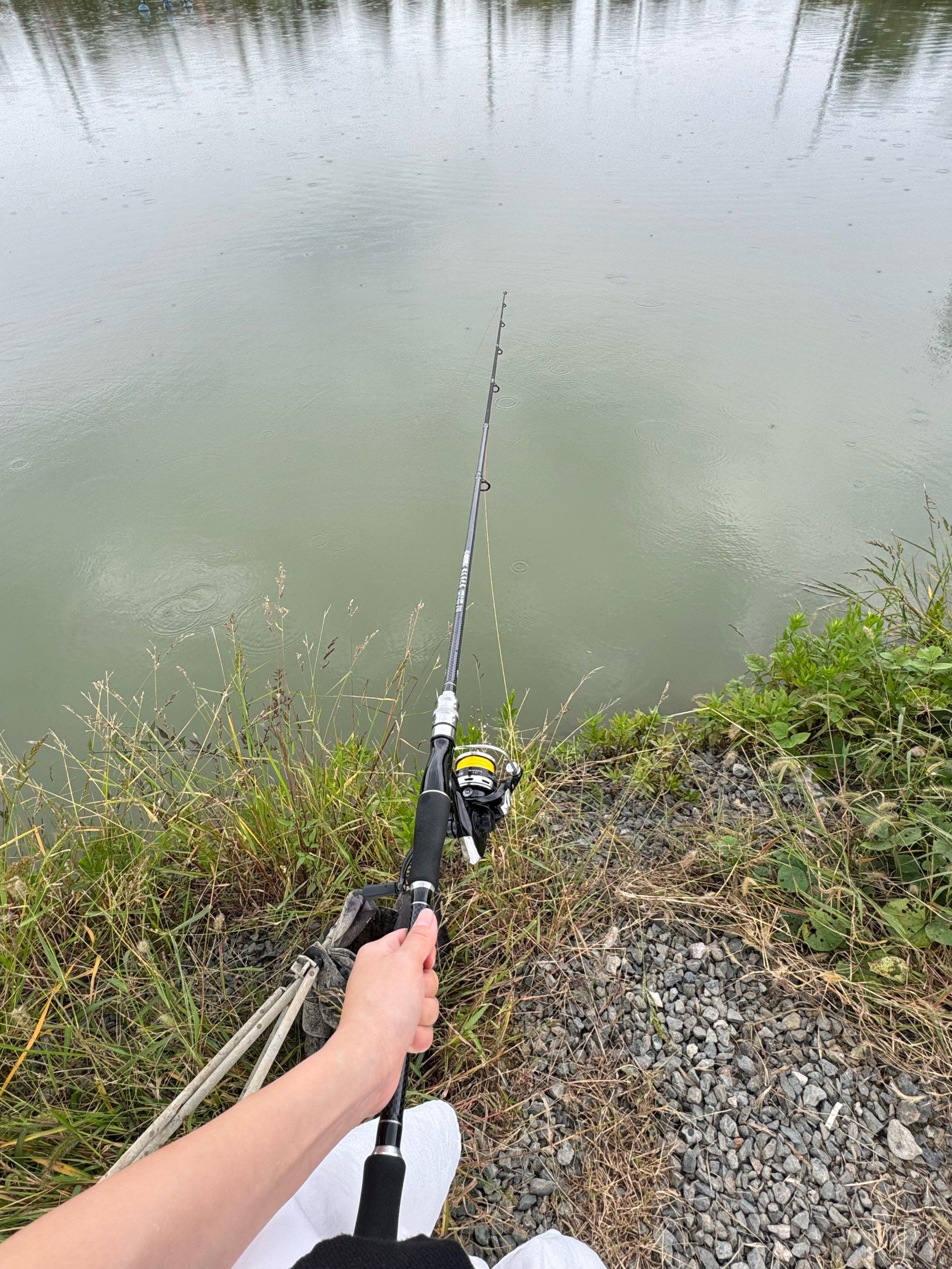 经常来这钓鱼,路亚很有意思啊,基本上钓上来的都是鲈鱼,幸运的话也