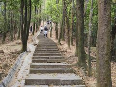 -阳台山森林公园
