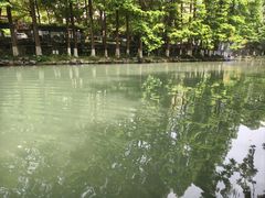 -达蓬山星梦乐园